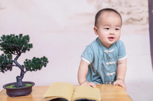 大同可爱的企鹅宝宝